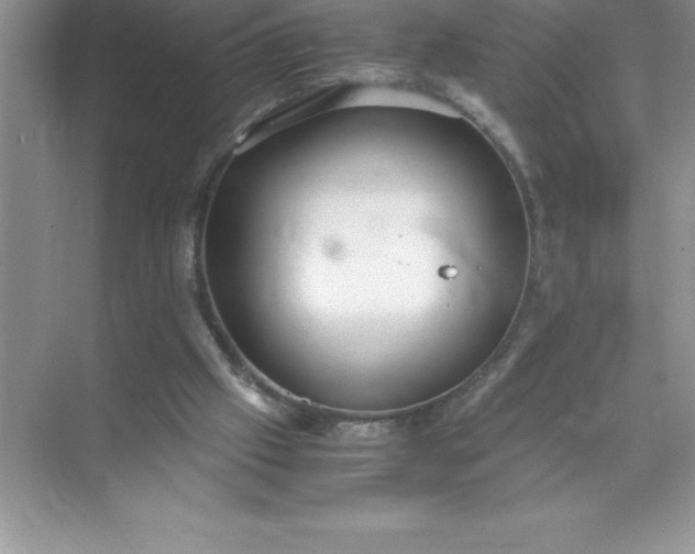 X0000071950057200607212237