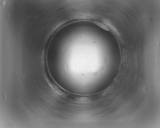 X0000071950058200607212237