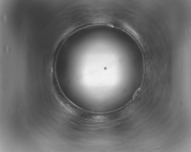 X0000071950059200607212237