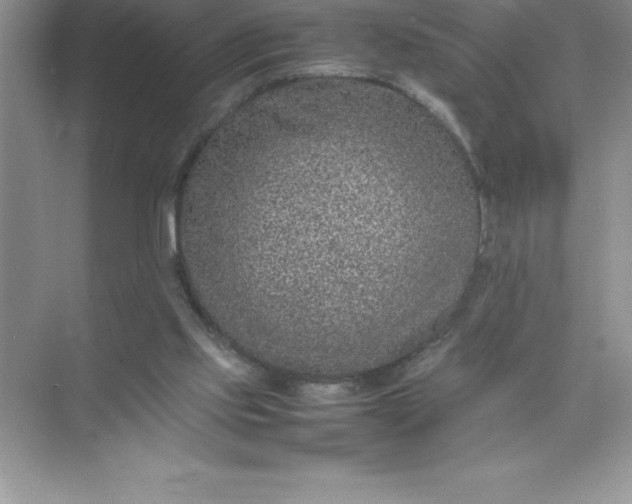 X0000071950061200607212237