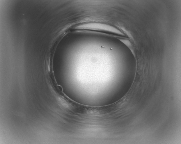 X0000071950062200607212237