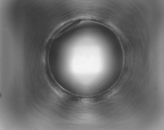 X0000071950064200607212237