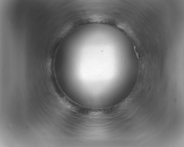 X0000071950066200607212237