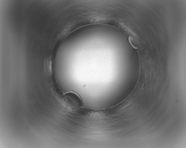 X0000071950067200607212237