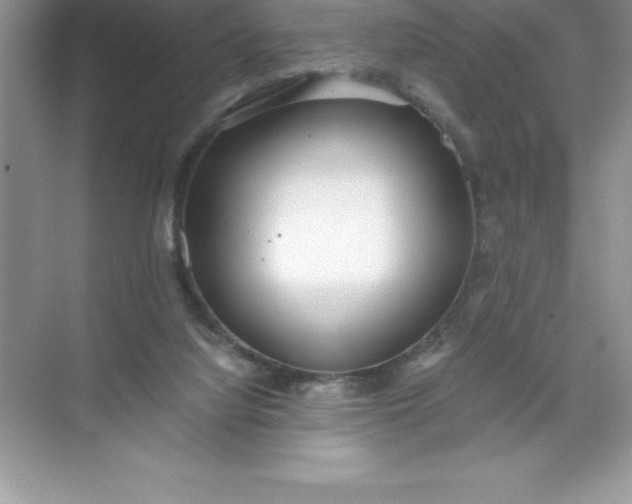 X0000071950068200607212237