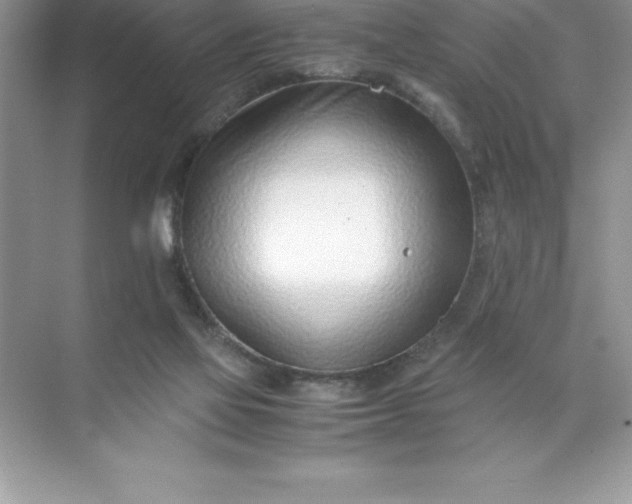 X0000071950069200607212237