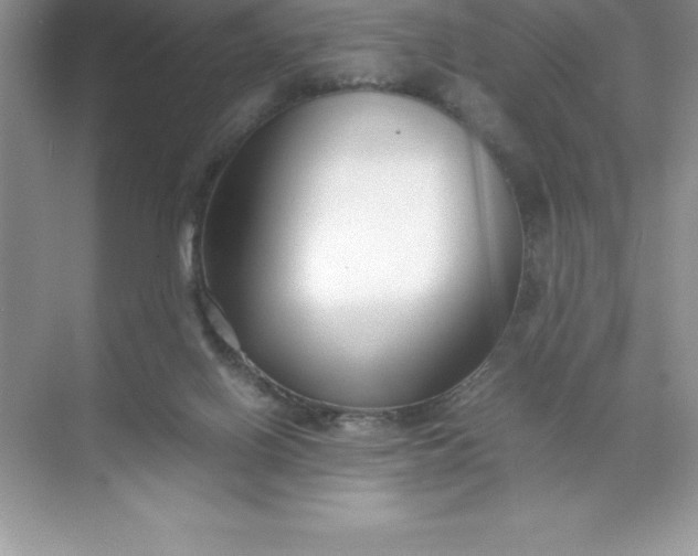 X0000071950070200607212237