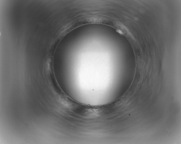 X0000071950071200607212237