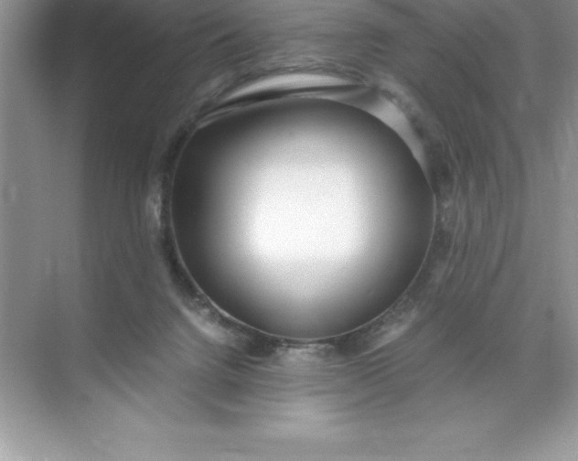 X0000071950072200607212237