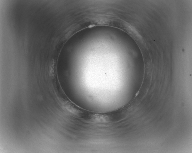 X0000071950073200607212237