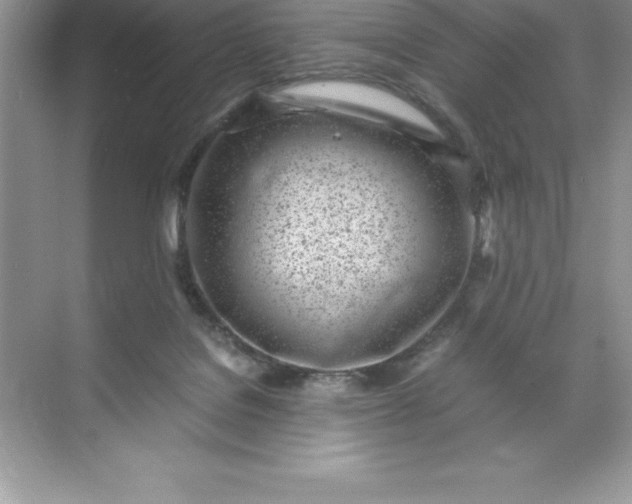 X0000071950076200607212237