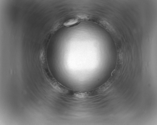 X0000071950079200607212237