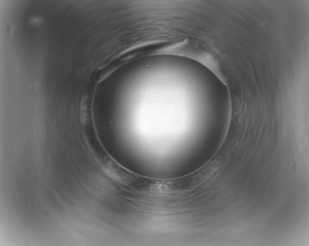 X0000071950080200607212237