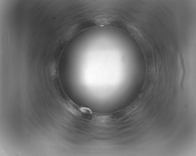 X0000071950081200607212237