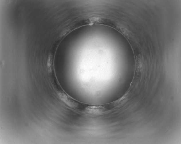 X0000071950082200607212237