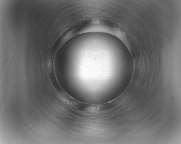 X0000071950084200607212237