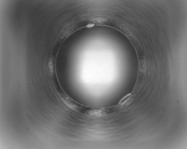 X0000071950086200607212237