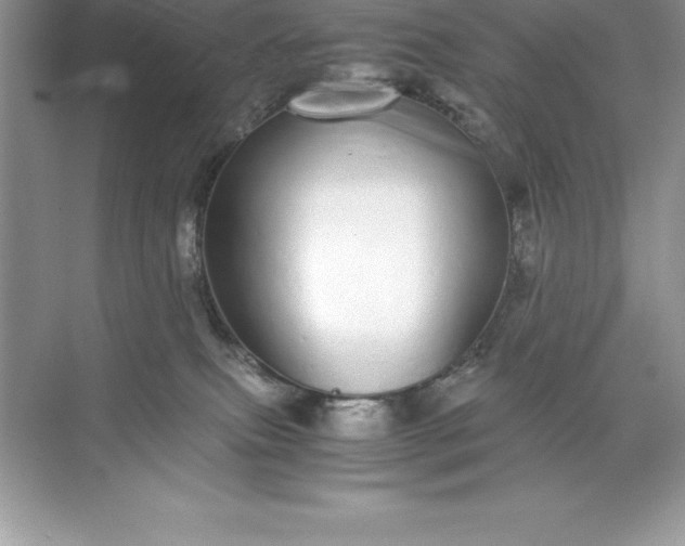 X0000071950087200607212237