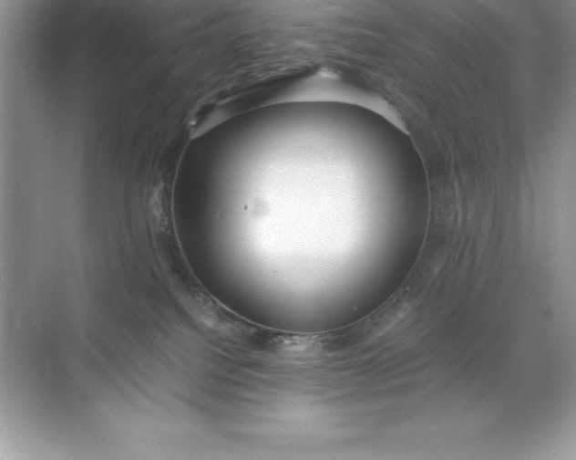 X0000071950088200607212237