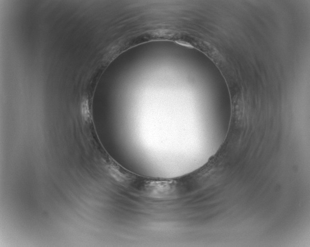 X0000071950089200607212237