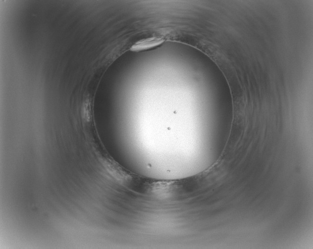 X0000071950090200607212237