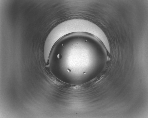 X0000071950092200607212238