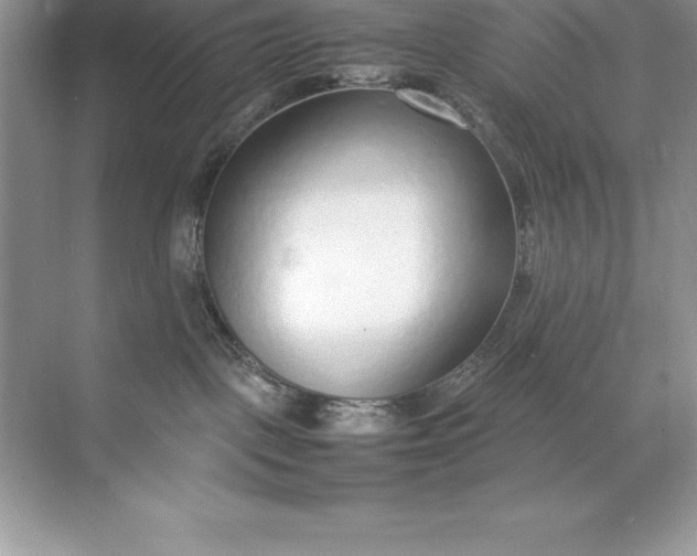 X0000071950093200607212238