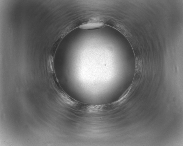 X0000071950094200607212238