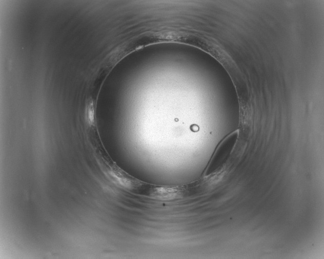 X0000071950095200607212238