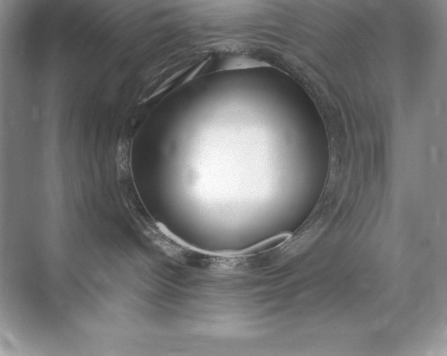 X0000071950096200607212238