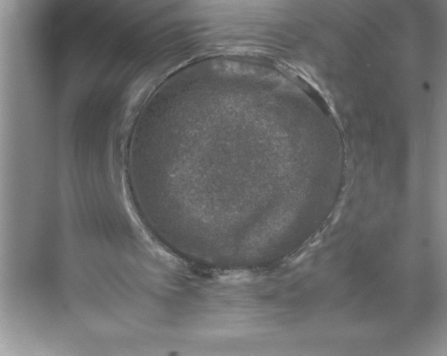 X0000071950097200607212237