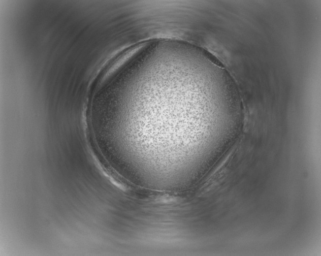 X0000071950098200607212237