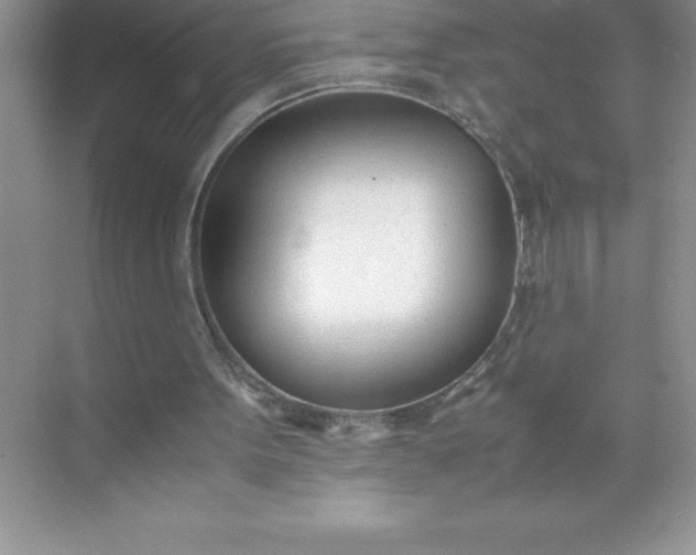 X0000071950099200607212237