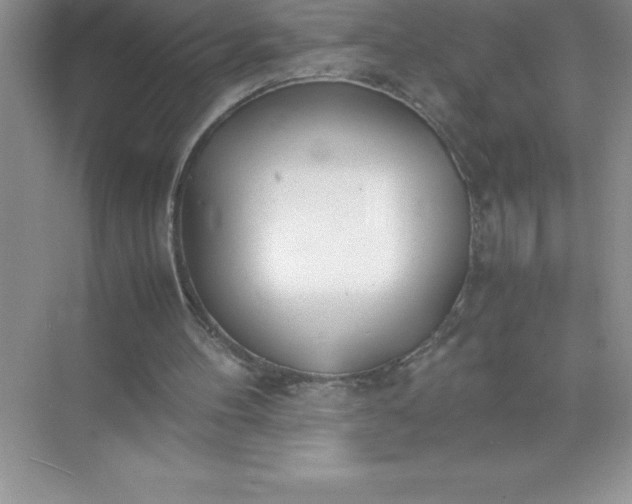 X0000071950100200607212237