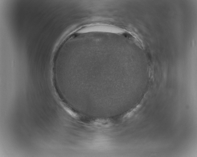 X0000071950101200607212237