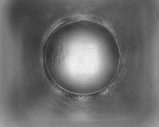 X0000071950103200607212237