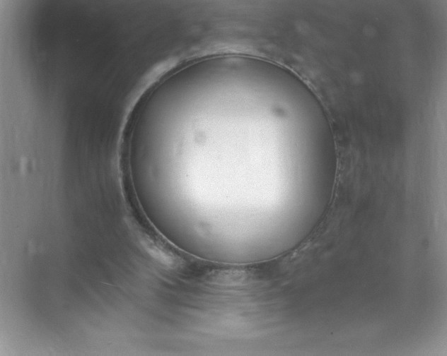 X0000071950104200607212237