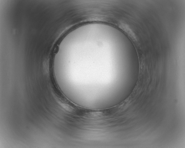 X0000071950108200607212237