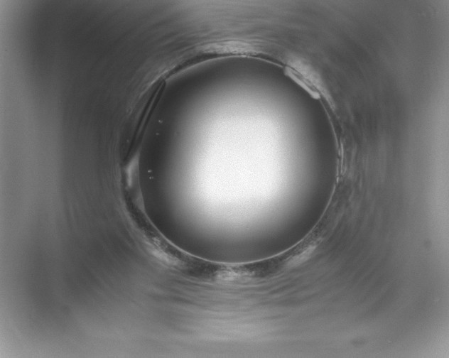 X0000071950109200607212237