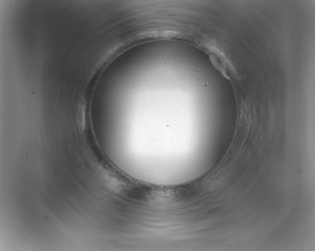 X0000071950110200607212237