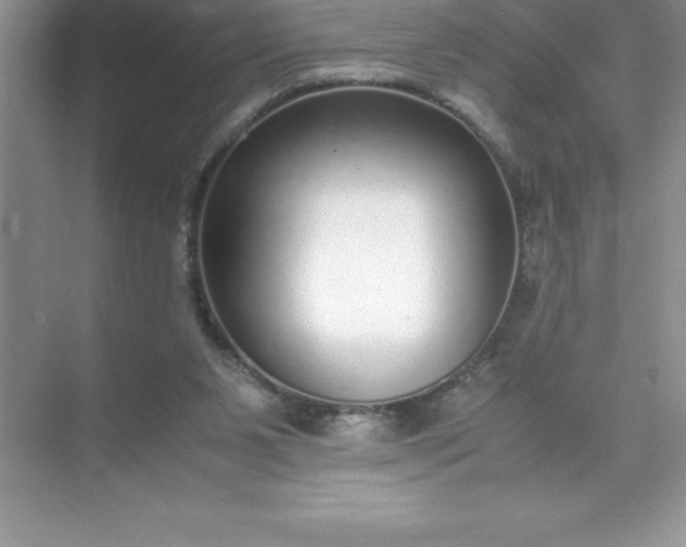 X0000071950111200607212237