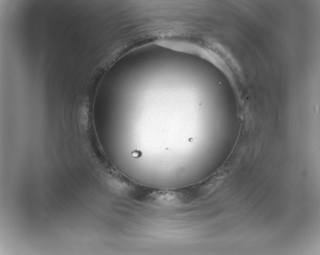 X0000071950113200607212237