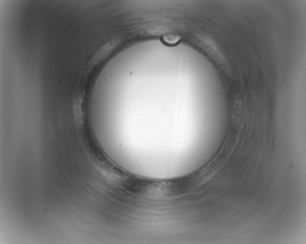 X0000071950116200607212236