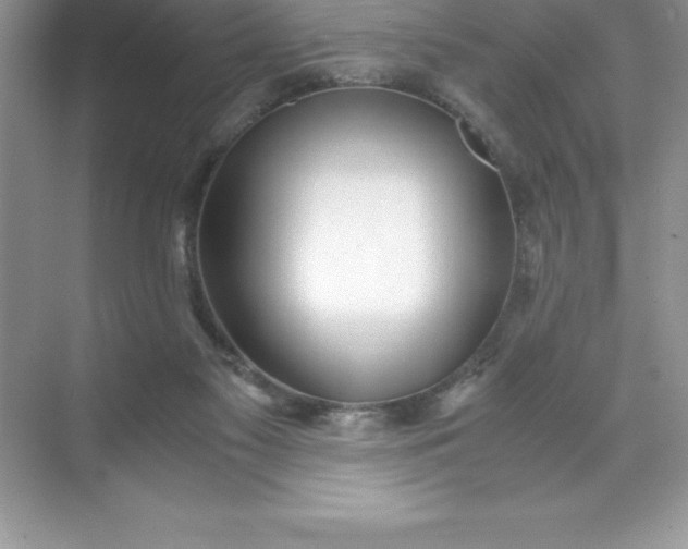 X0000071950117200607212236