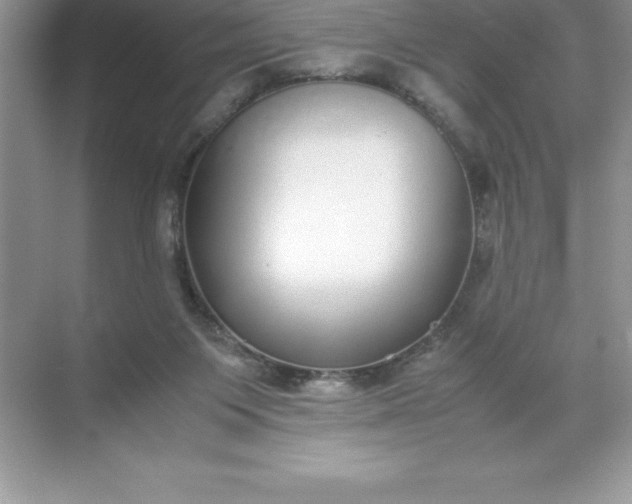 X0000071950119200607212236