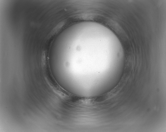 X0000071950120200607212236