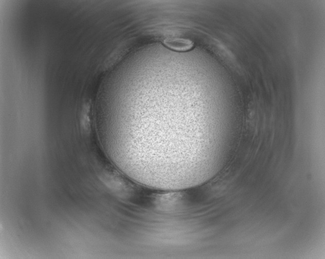 X0000071950122200607212236