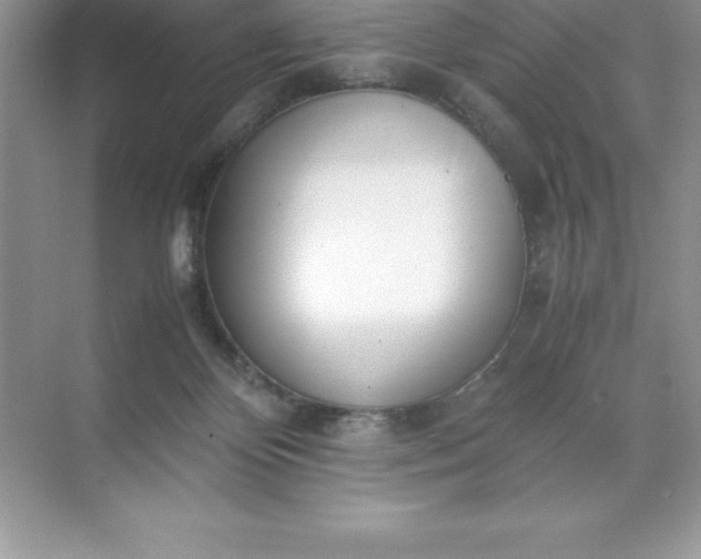 X0000071950124200607212236