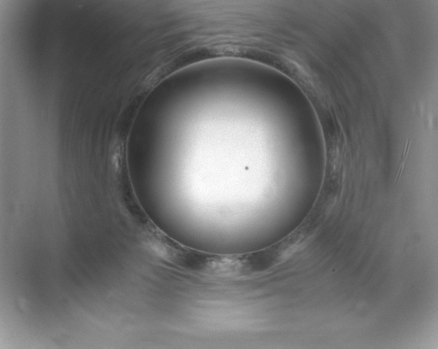 X0000071950125200607212236