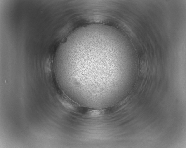 X0000071950126200607212236